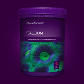 Aqua Forest Calcium-1 Kg